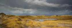 Optræk til storm over marehalmen