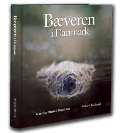 Bog:  Bæveren i Danmark