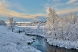 Vinterlandskab